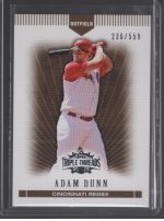 2007 Topps Triple Threads Adam Dunn